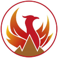 Logo Phoenix Copper Limited